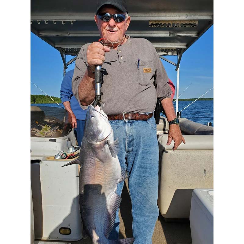 A nice blue caught on the boat with Captain William Attaway