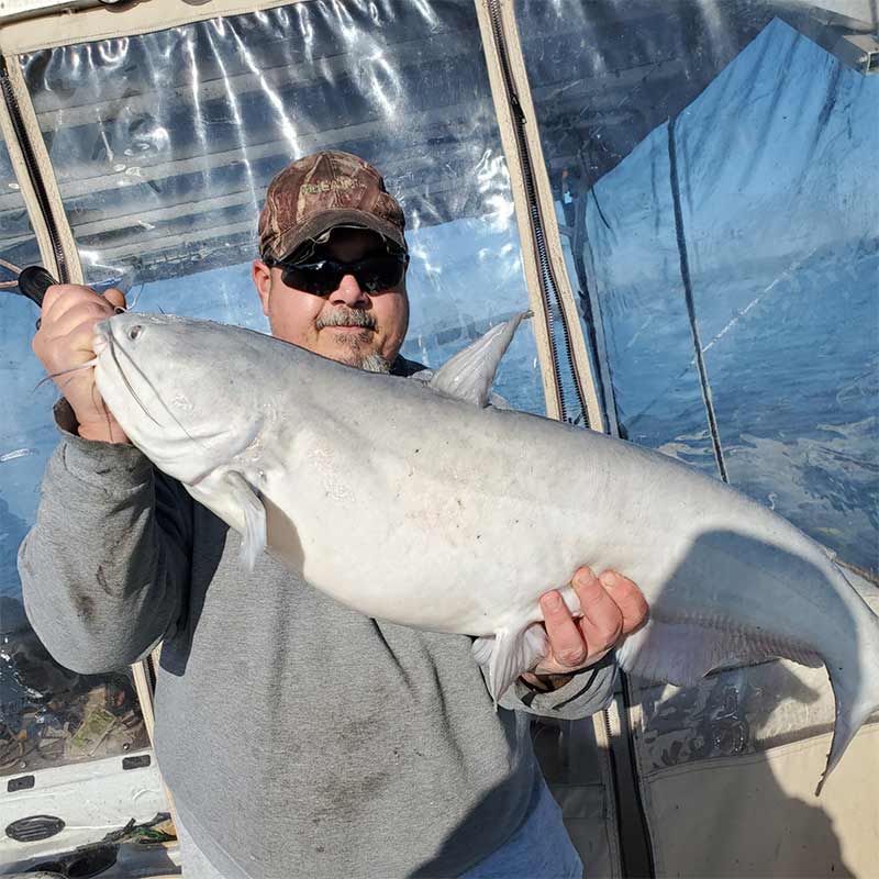 Captain William Attaway with a "ghost" catfish caught this week on Monticello