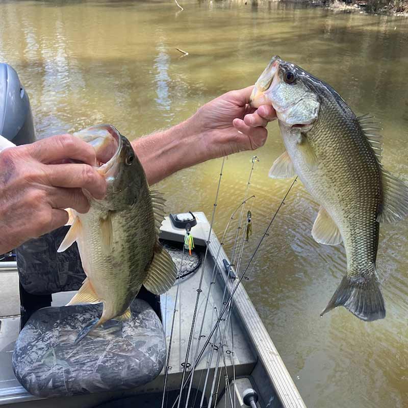 Yesterday on Lake Murray