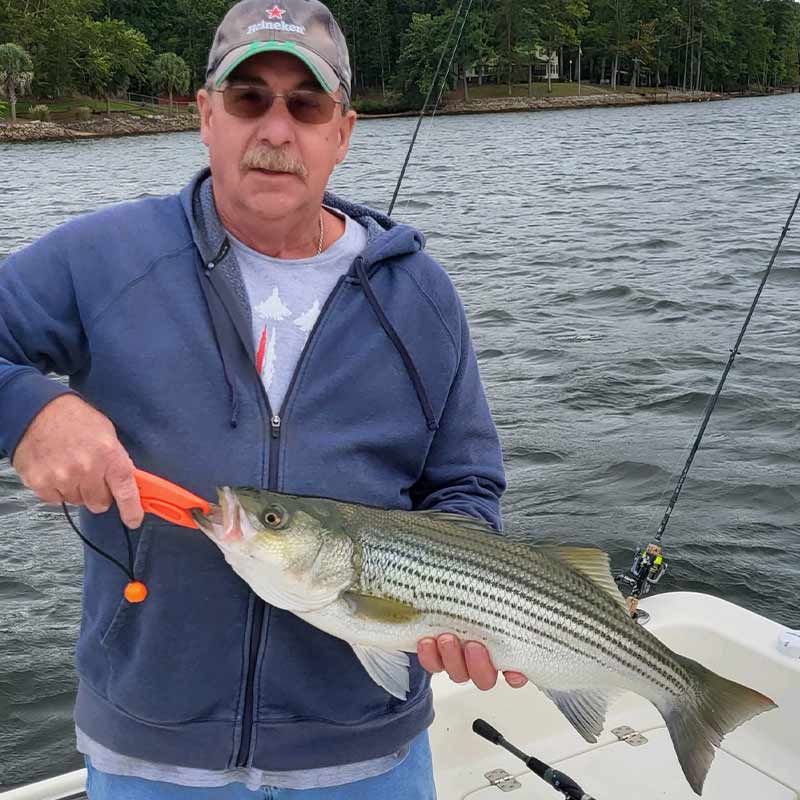 Caught up the lake with Riverwinds Landing herring