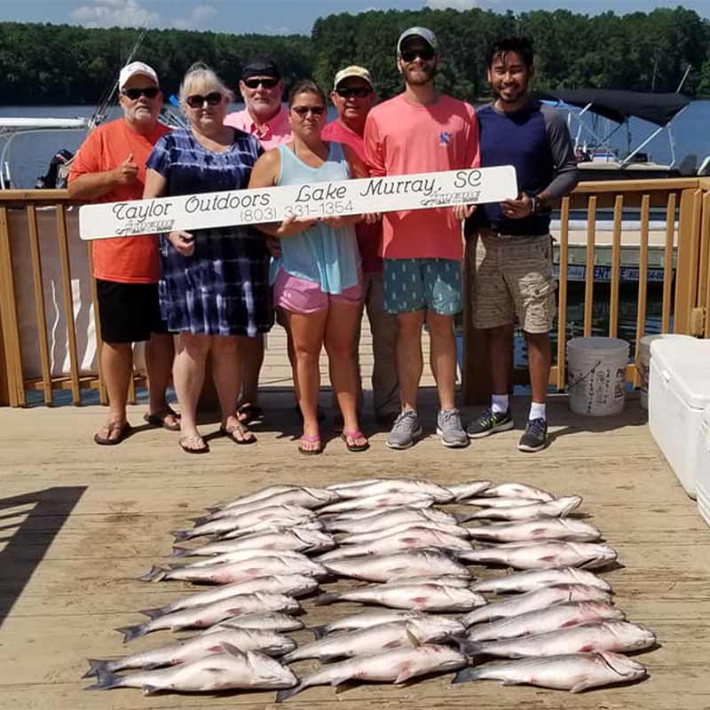 AHQ INSIDER Lake Murray (SC) Summer 2021 Fishing Report - Updated Augu -  Angler's Headquarters