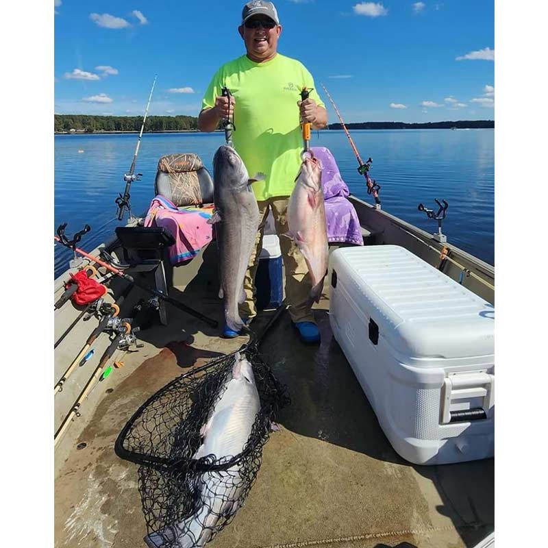 Blue cats caught on bait from Riverwinds Landing