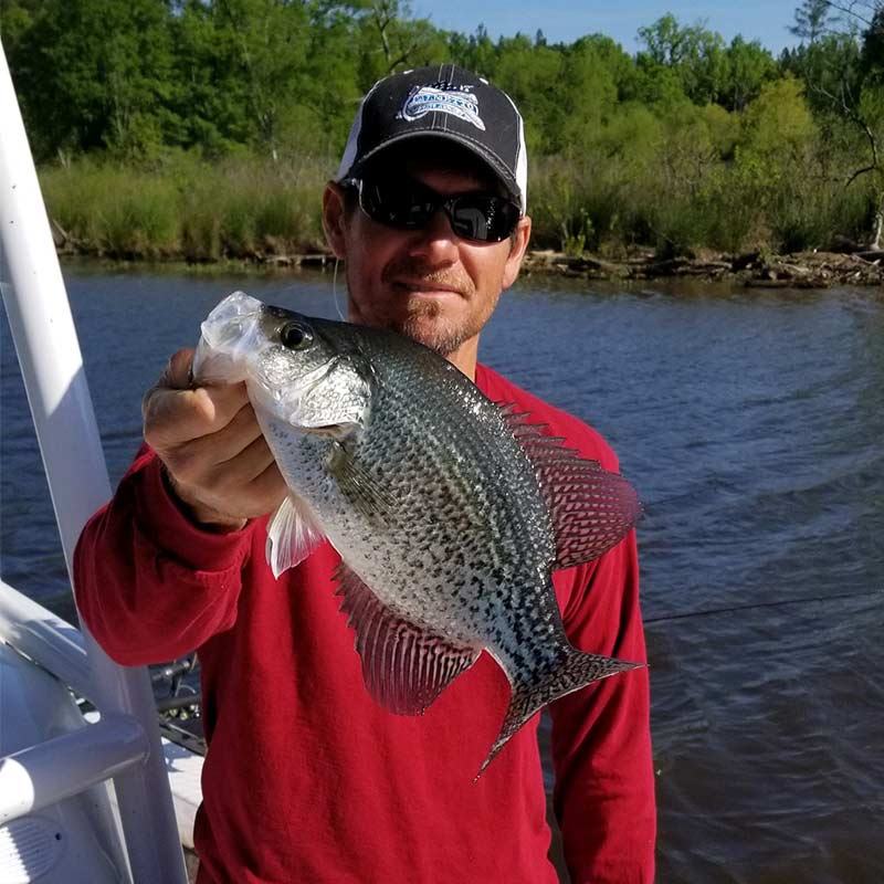 Captain Brad Taylor with a nice Murray crappie 
