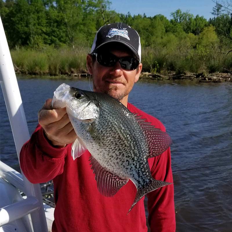Captain Brad Taylor with a healthy Lake Murray crappie