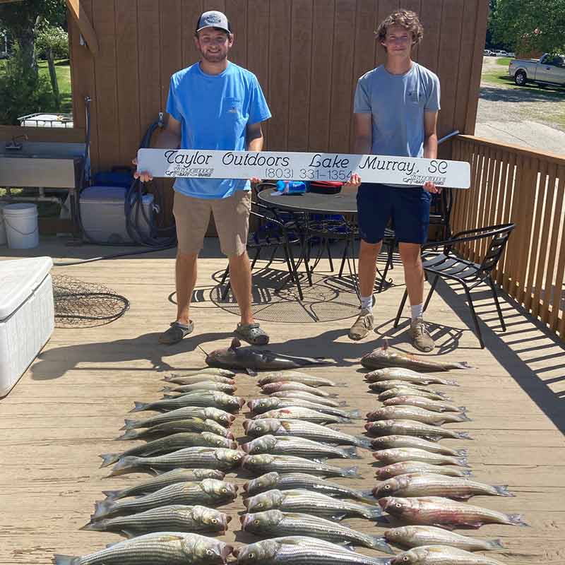 Proof that Captain Brad Taylor's boat is catching striper on Lake Murray! 