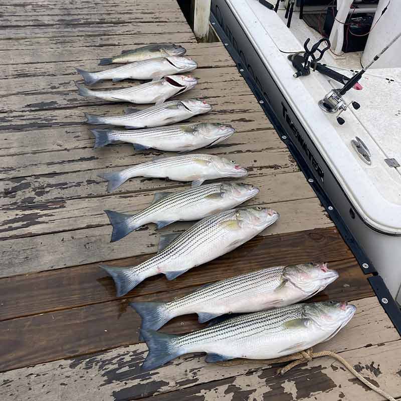 A good catch with Captain Brad Taylor