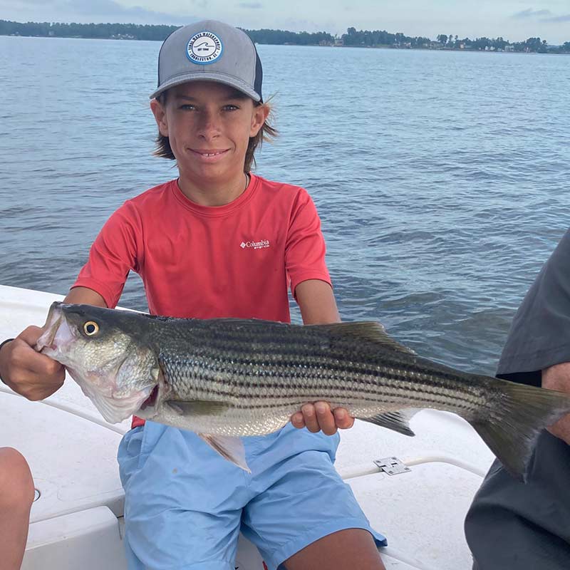A young angler caught this nice striper recently with Captain Brad Taylor