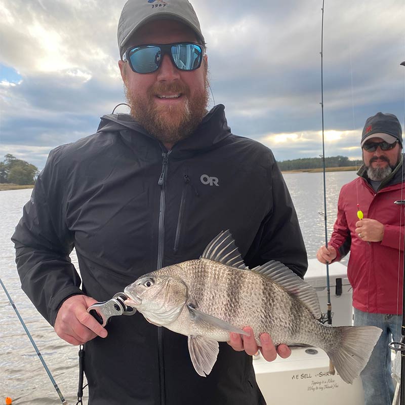 A black drum caught this week with Captain Smiley Fishing Charters