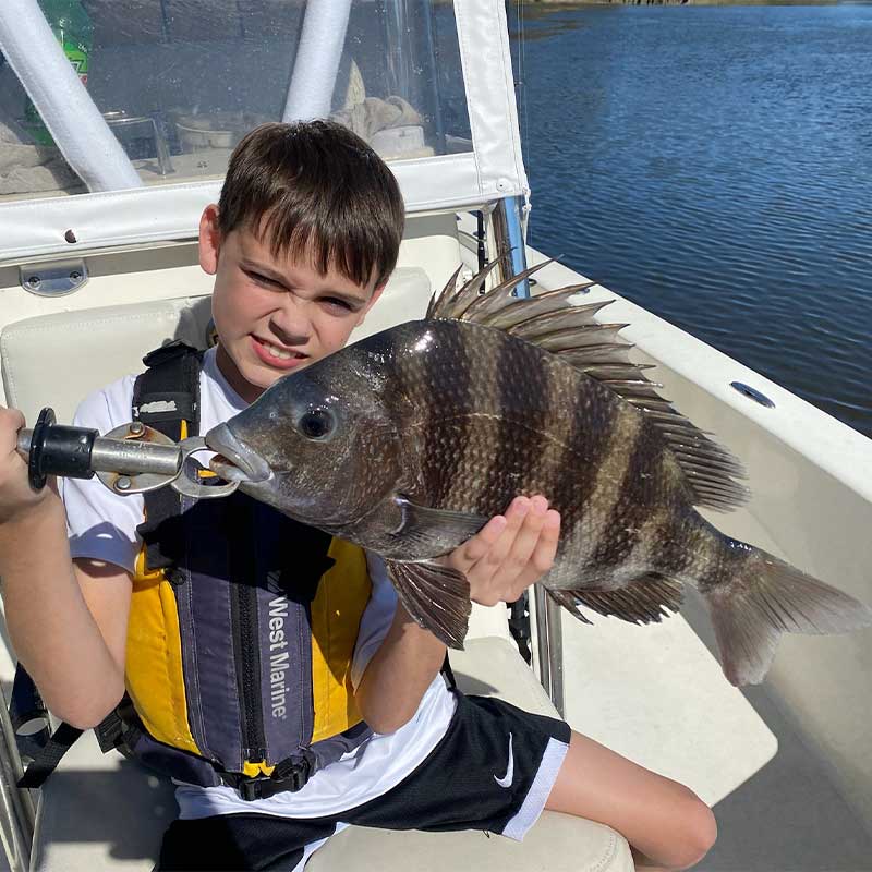 A nice sheepshead caught with Captain Smiley Fishing Charters