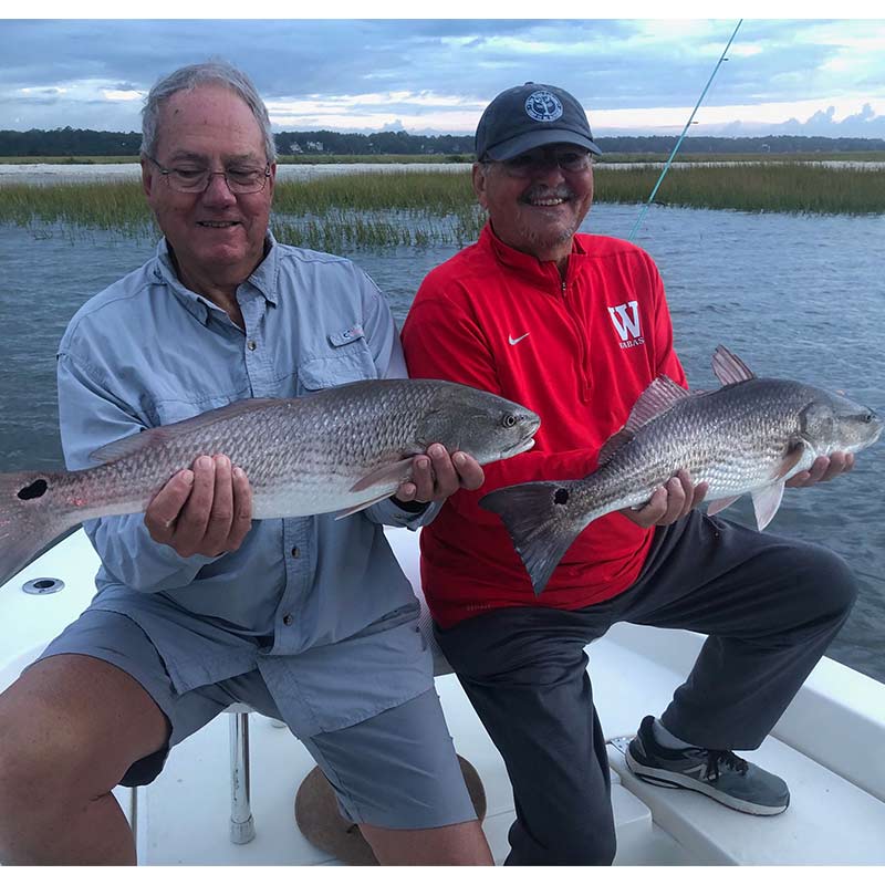 A couple of nice inshore redfish caught recently with Captain Smiley