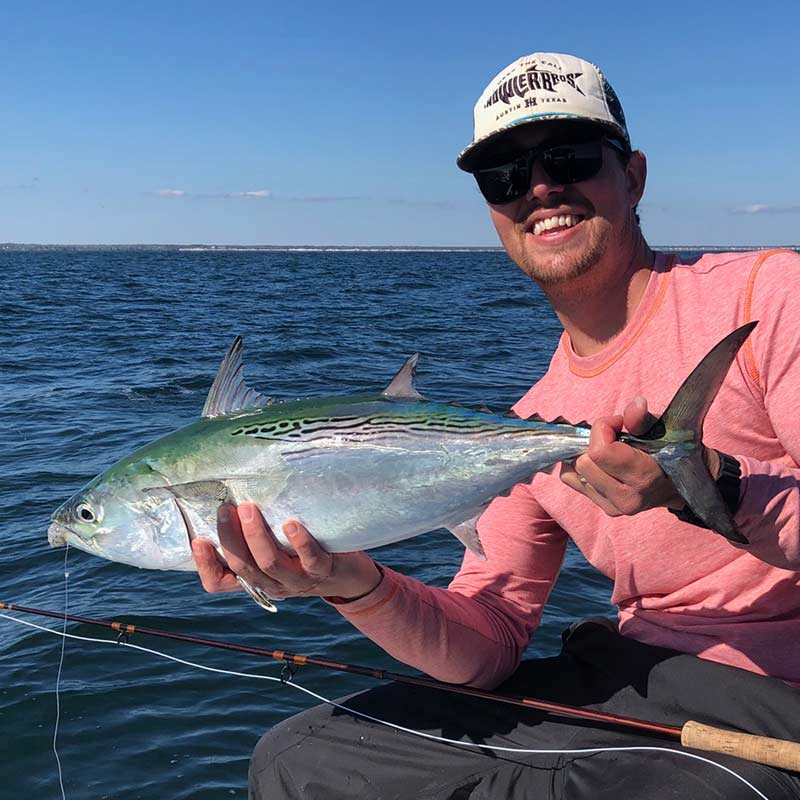 A nice false albacore caught yesterday with Captain Smiley