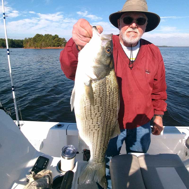 A big Russell hybrid caught this week with Guide Jerry Kotal