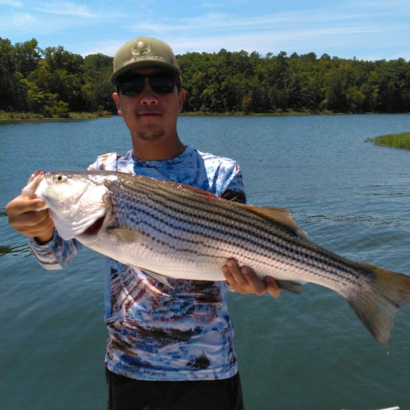 A nice striper caught with Guide Jerry Kotal 