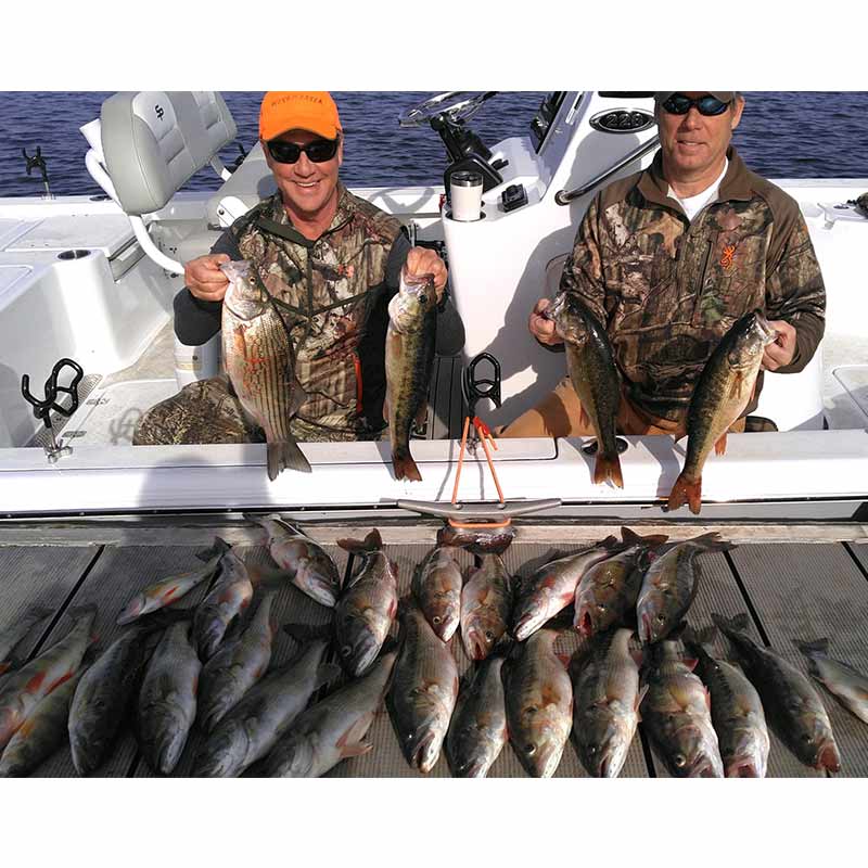 A big haul with Guide Jerry Kotal this week on Lake Russell