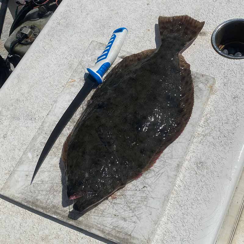 Yesterday's flounder - preparing to be released into the grease!