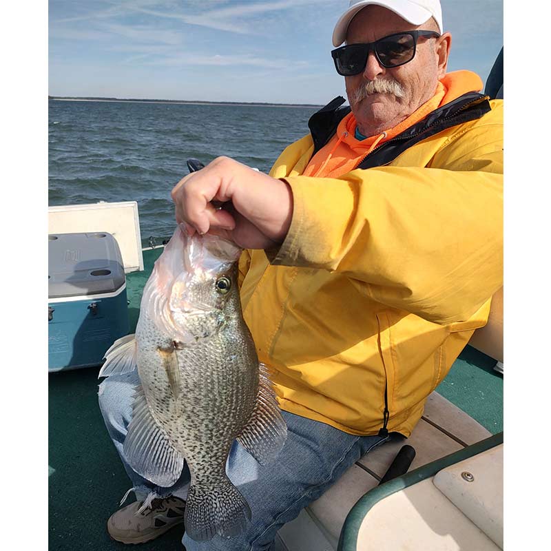 A slab caught with Captain Steve English on Tuesday