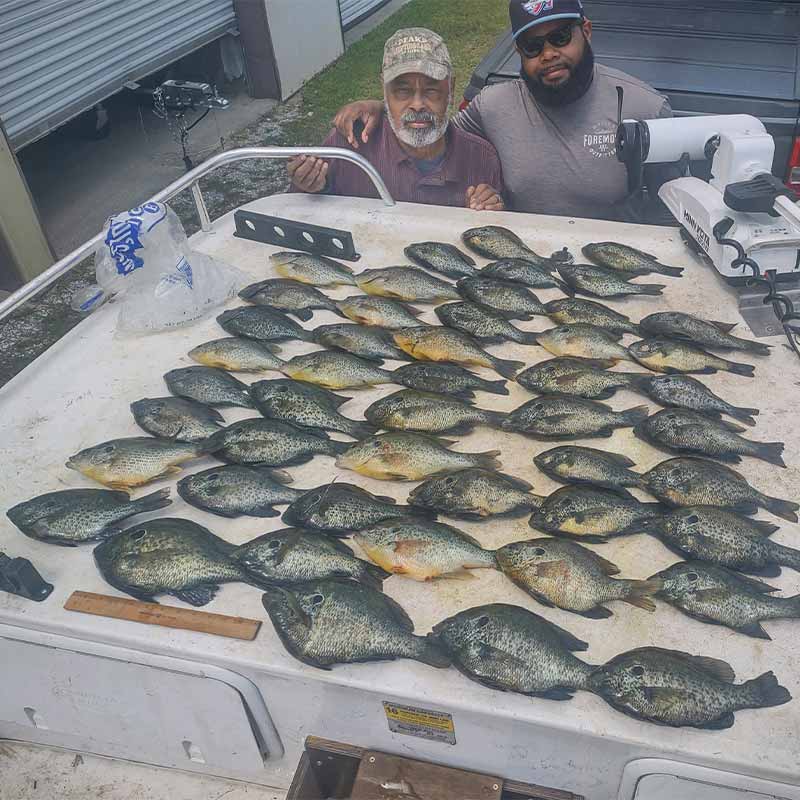 AHQ INSIDER Santee Cooper (SC) 2022 Week 46 Fishing Report