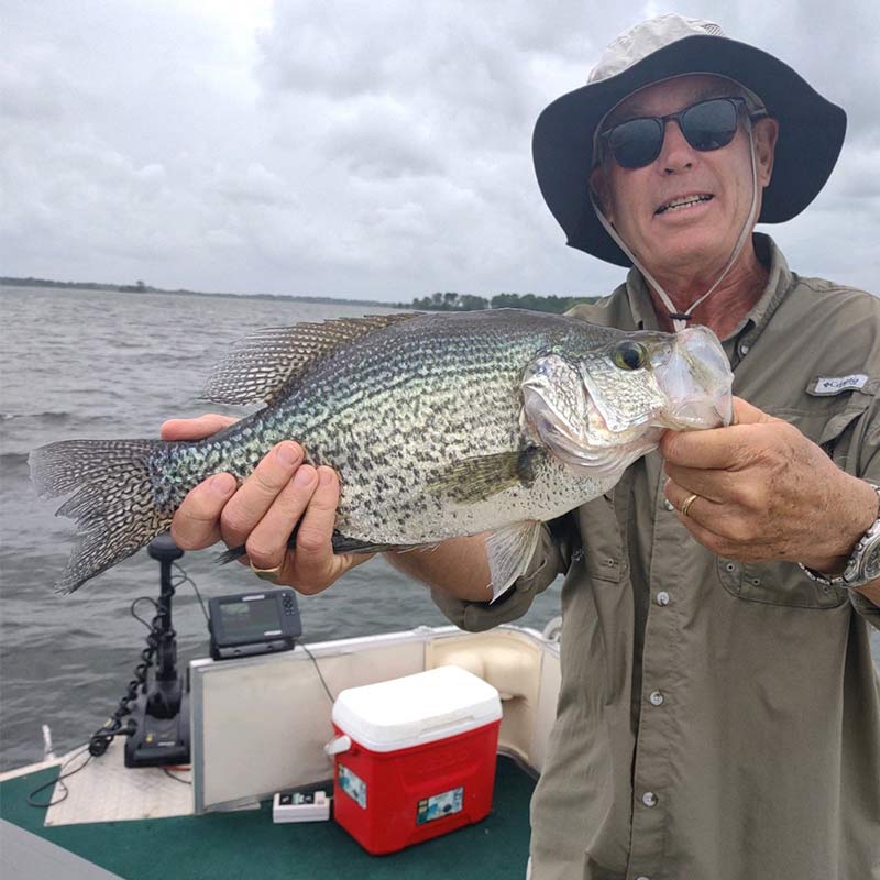 A nice black crappie caught this week with Captain Steve English