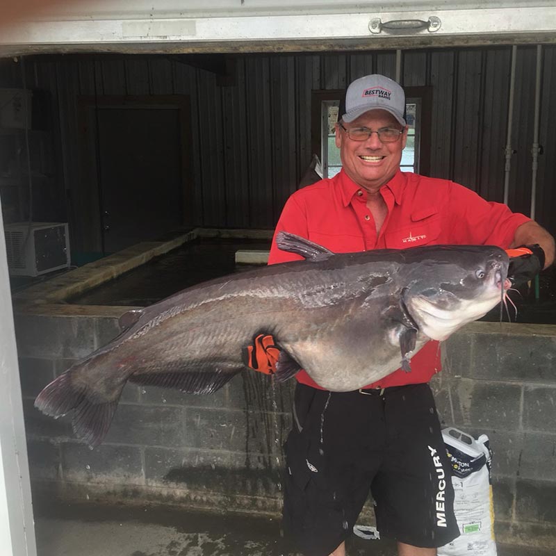 Brett Mitchell's boat recently caught this 40 plus pound fish