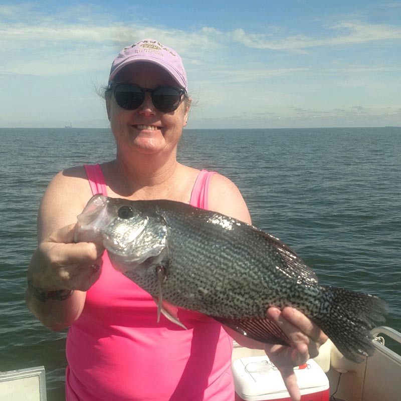 A nice crappie caught this week with Captain Steve English