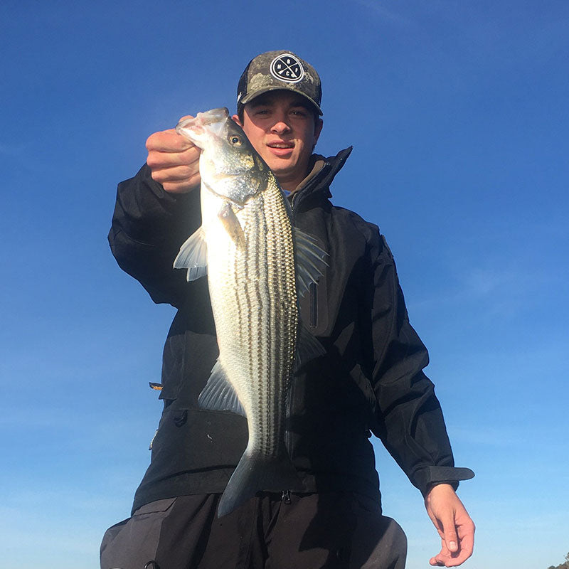 An aggressive Santee Cooper striper caught this morning with Captain Brett Mitchell