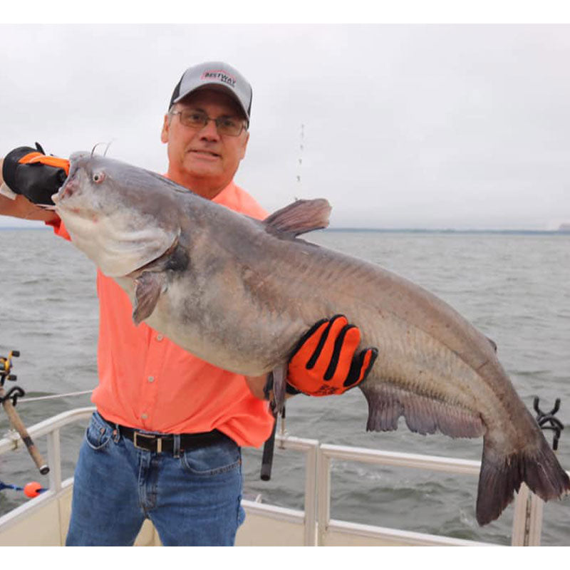 Brett Mitchell with a 30-pound blue caught this week