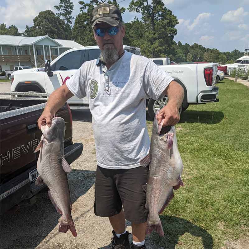 A couple of hungry fish caught with Captain Stevie English