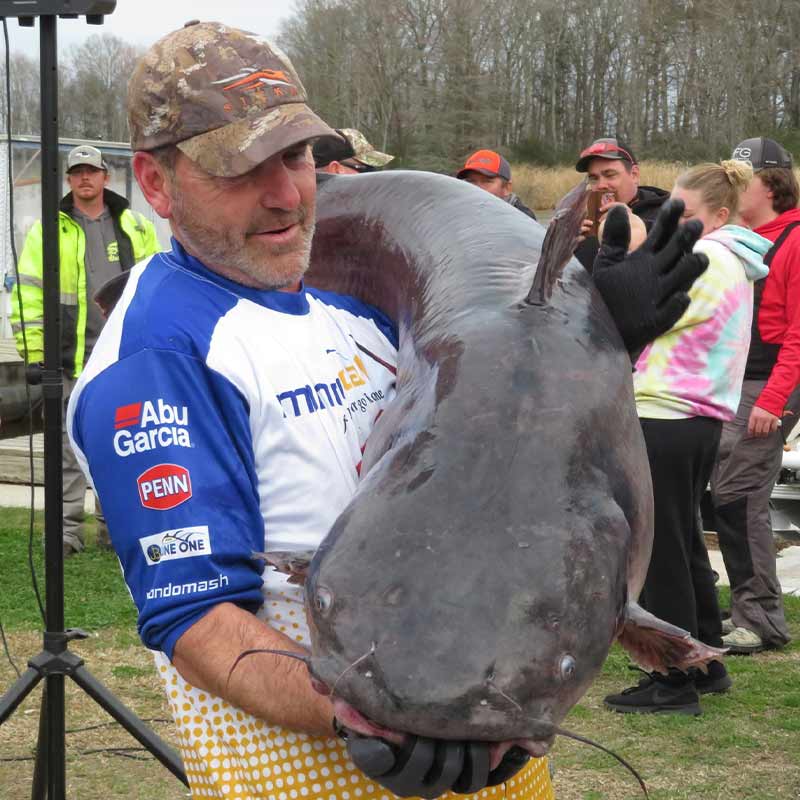 A giant 97.5-pound fish caught in this weekend's tournament
