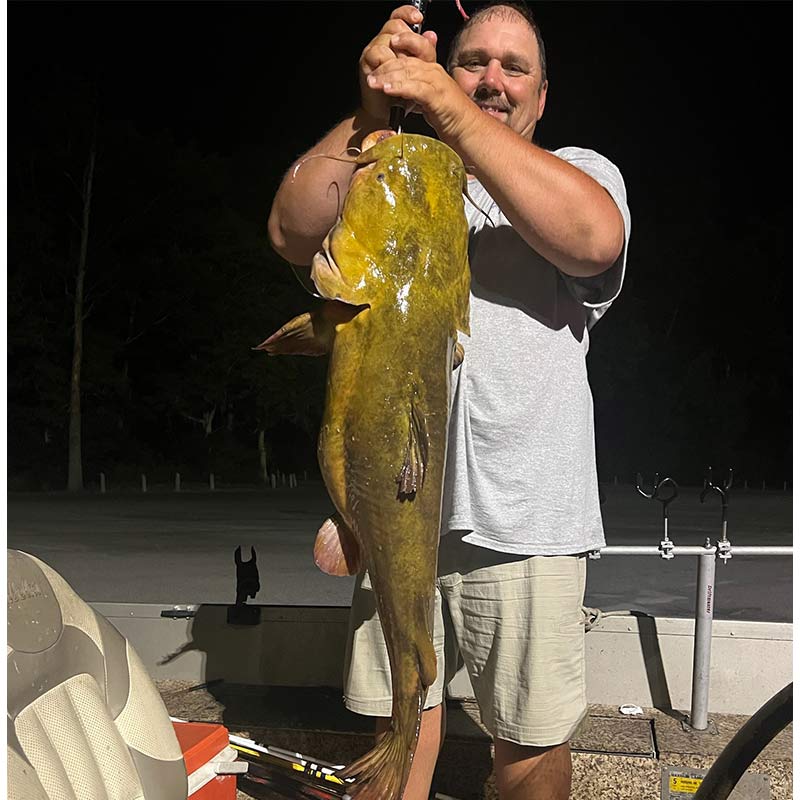 Rodney Donald with a big flathead caught at night