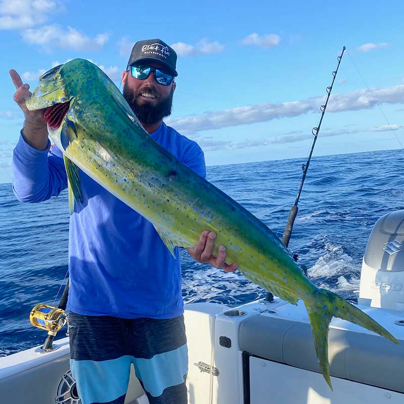 A big dolphin caught last week on the boat with Captain Jay Baisch