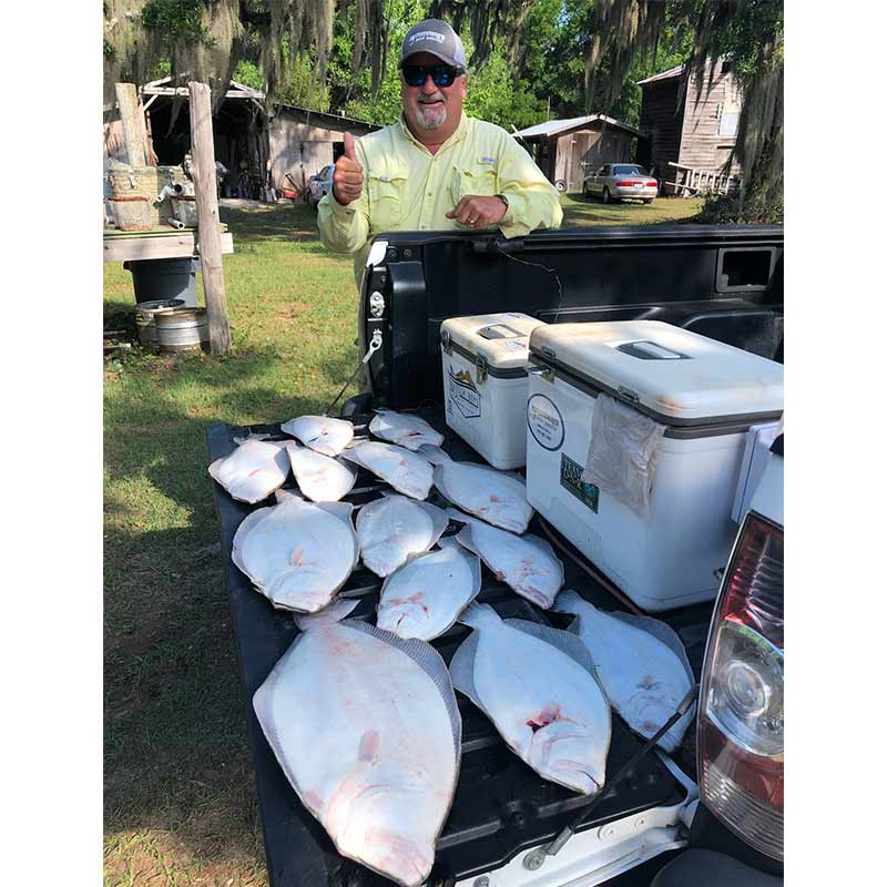 A pile of flounder