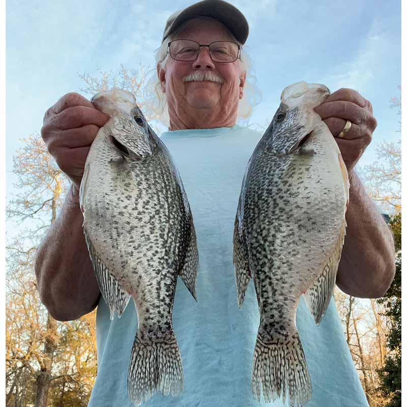 Will Hinson with a couple of slabs caught yesterday