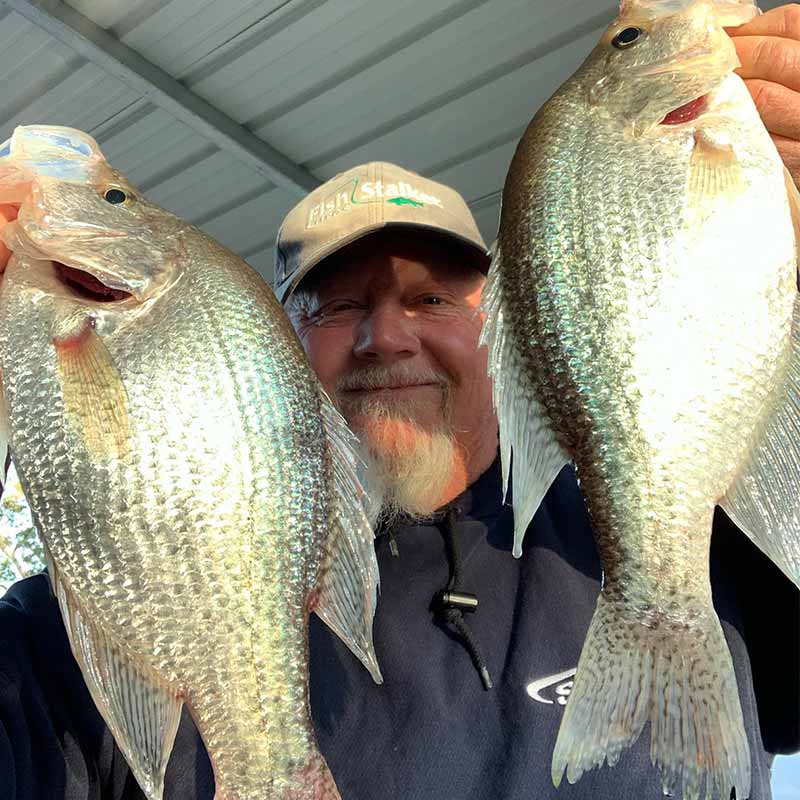 AHQ INSIDER Lake Wateree (SC) 2022 Week 20 Fishing Report – Updated Ma -  Angler's Headquarters