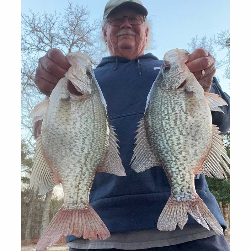 Will Hinson with a couple of slabs caught yesterday