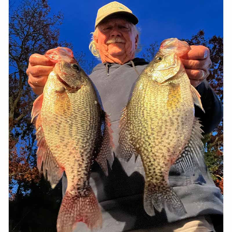 Will Hinson with a couple of good ones caught off brush