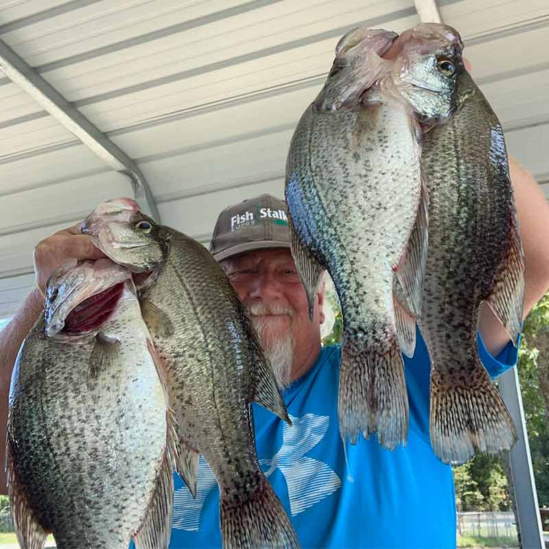 Will Hinson with some Wateree slabs caught last weekend