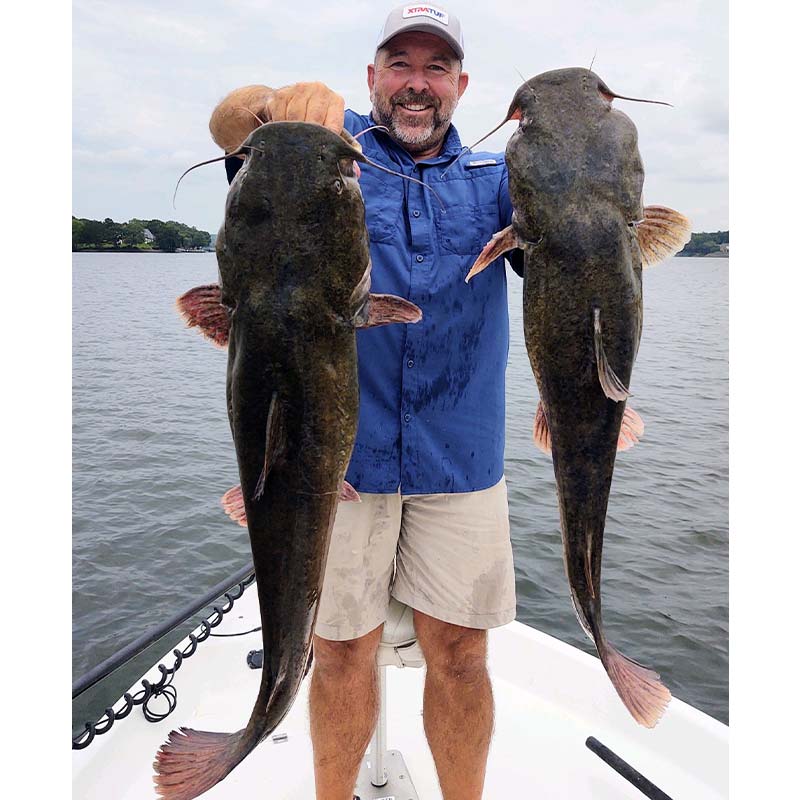 Captain Chris Nichols with a pair of nice flatheads caught yesterday