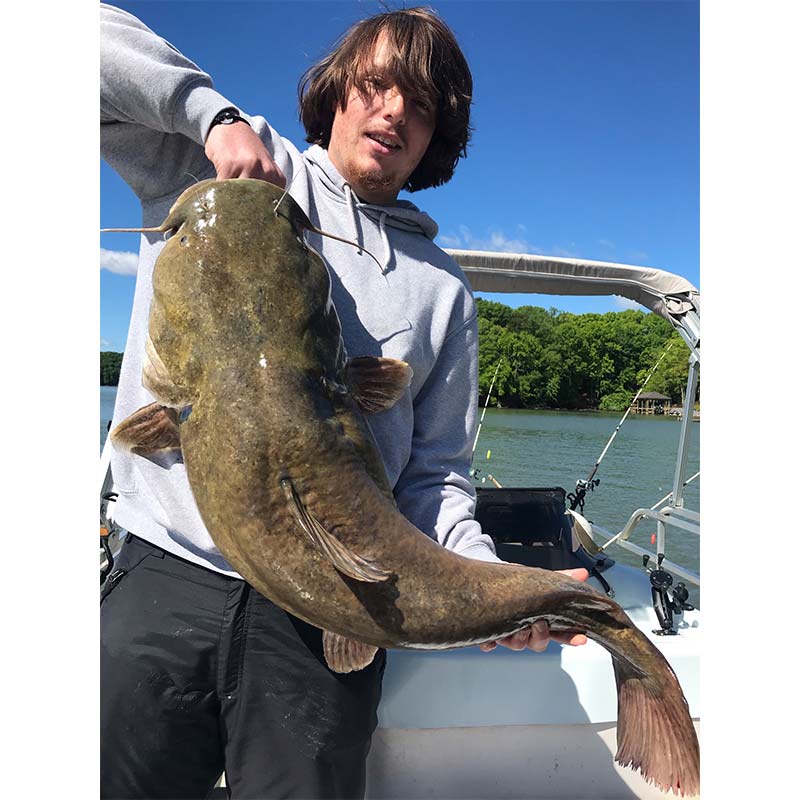 A big flathead caught last week with Captain Rodger Taylor