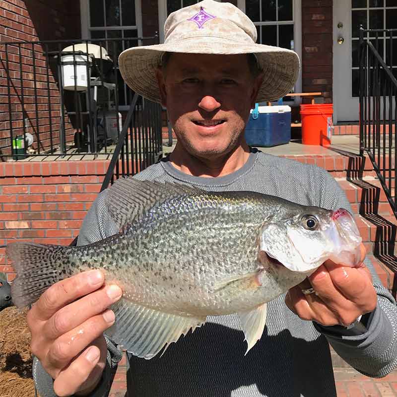 Captain Rodger Taylor with a solid 2-pound crappie