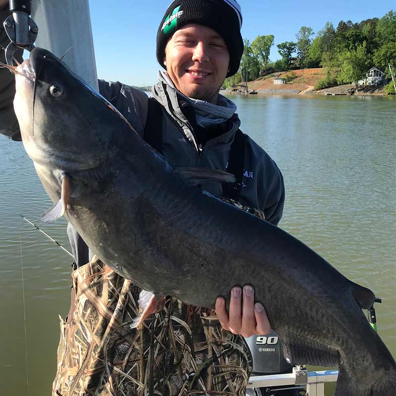 Captain Rodger Taylor's son with a big blue cat caught this week