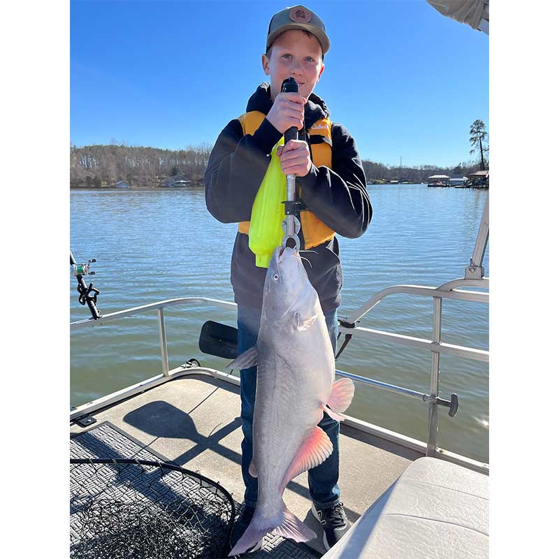 A nice blue cat caught this week with Captain Rodger Taylor 