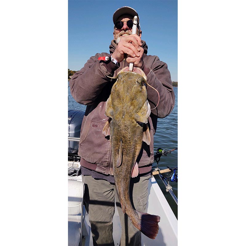 A good flathead caught yesterday with Captain Chris Nichols