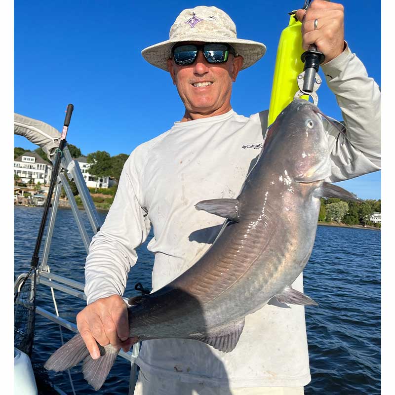 Captain Rodger Taylor this week with a nice blue cat