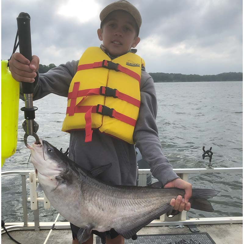 AHQ INSIDER Lake Wylie (NC/SC) Summer 2021 Fishing Report