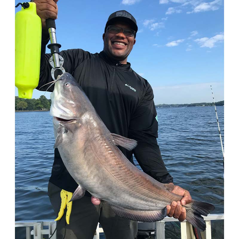 A really nice Wylie blue caught recently with Captain Rodger Taylor