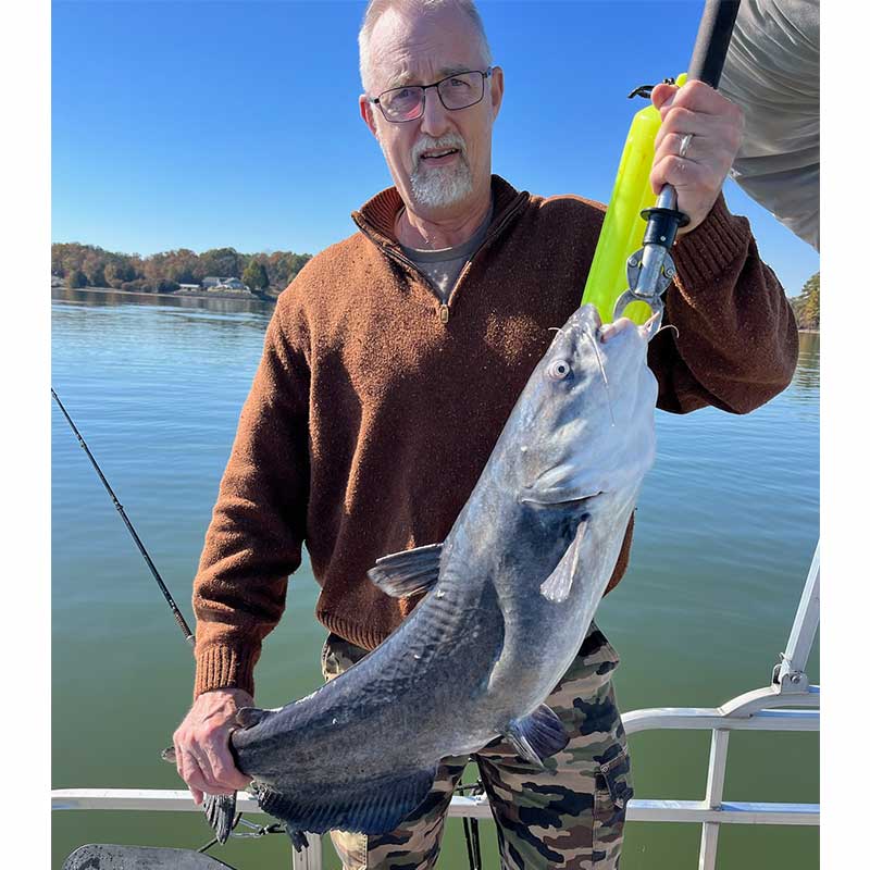 A nice blue cat caught this week with Captain Rodger Taylor