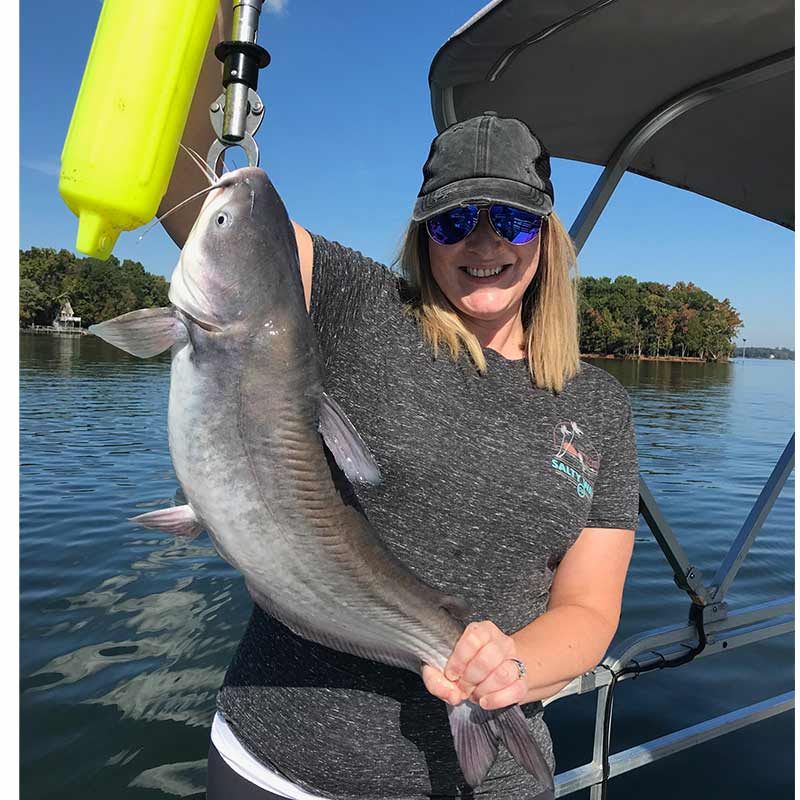 A nice blue catfish caught this week with Captain Rodger Taylor