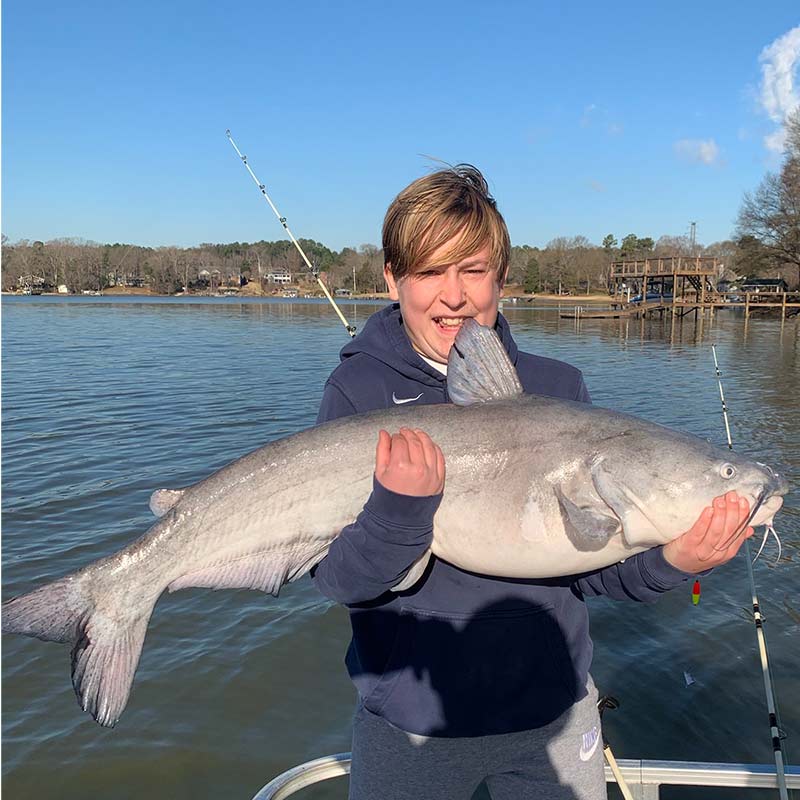 Another big Wylie blue caught this week with Captain Rodger Taylor