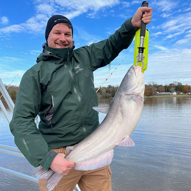 A strong Wylie blue caught with Captain Rodger Taylor 