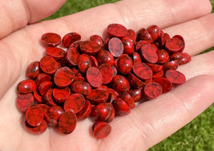 Lot of Red Plastic Flat-back Cabs - Gems & Minerals Rock